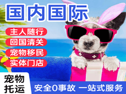 盐城机场托运国际宠物托运 【国